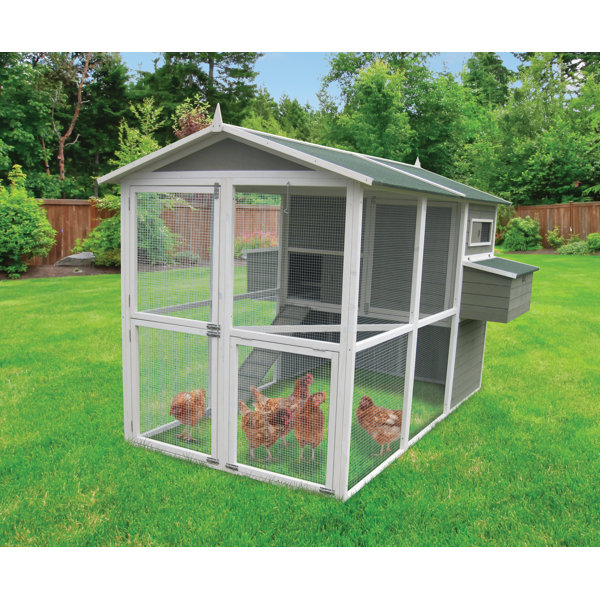 Innovation Pet Coops And Feathers™ 65 Square Feet Chicken Coop with